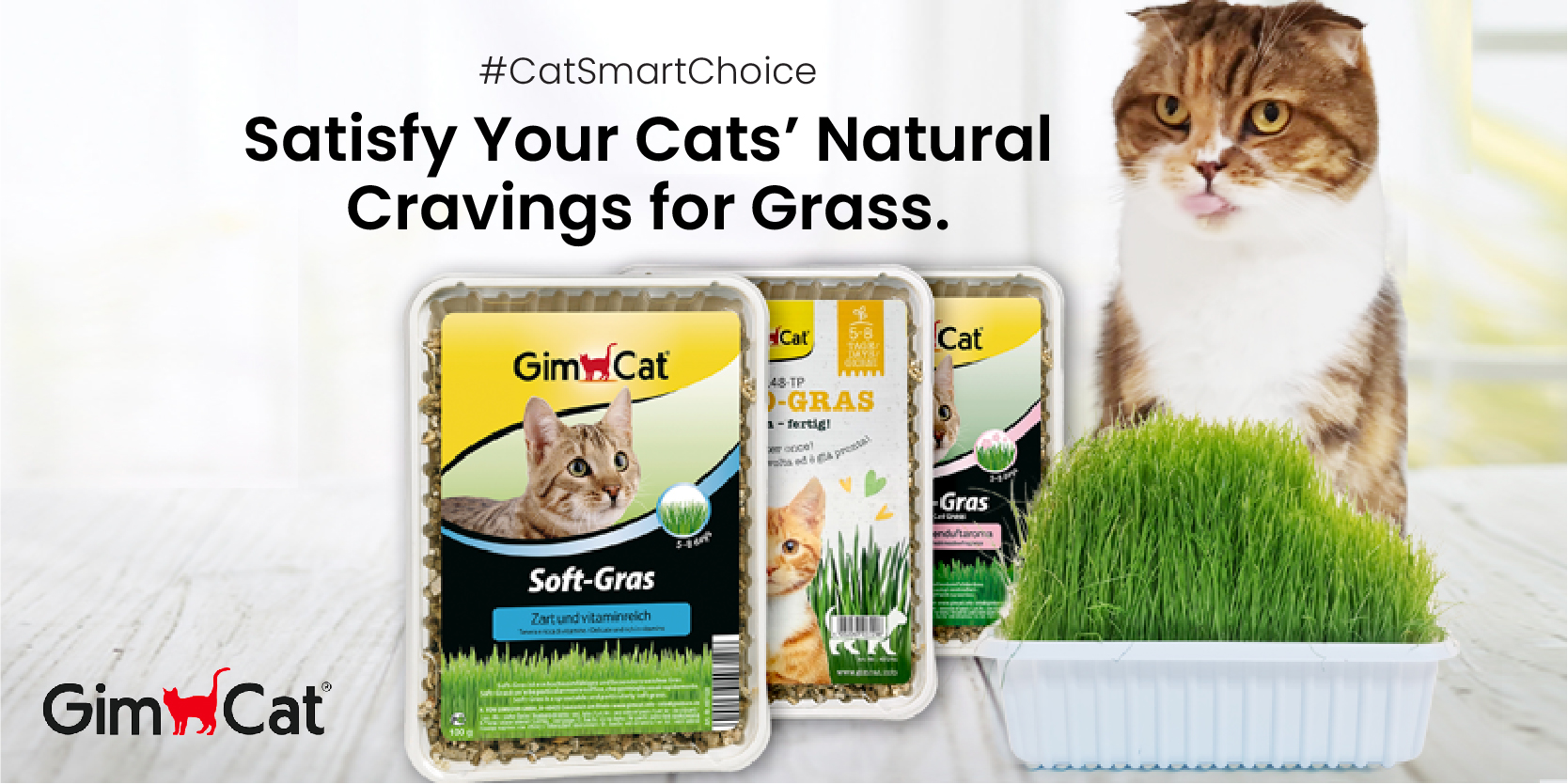 GimCat fresh cat grass series